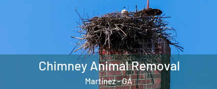 Chimney Animal Removal Martinez - GA