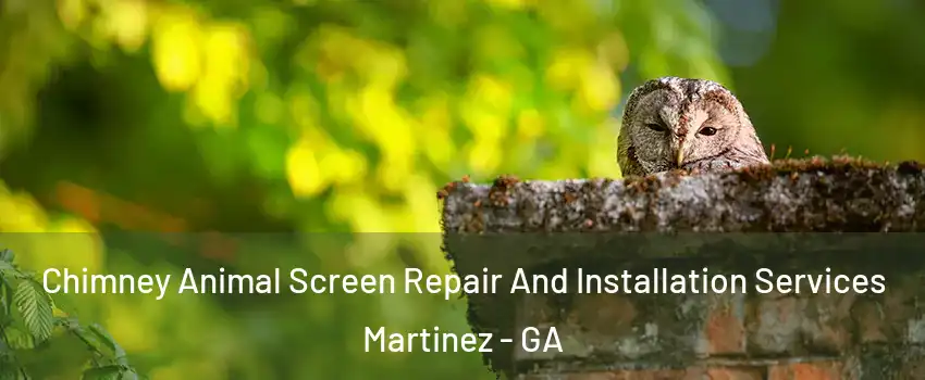  Chimney Animal Screen Repair And Installation Services Martinez - GA