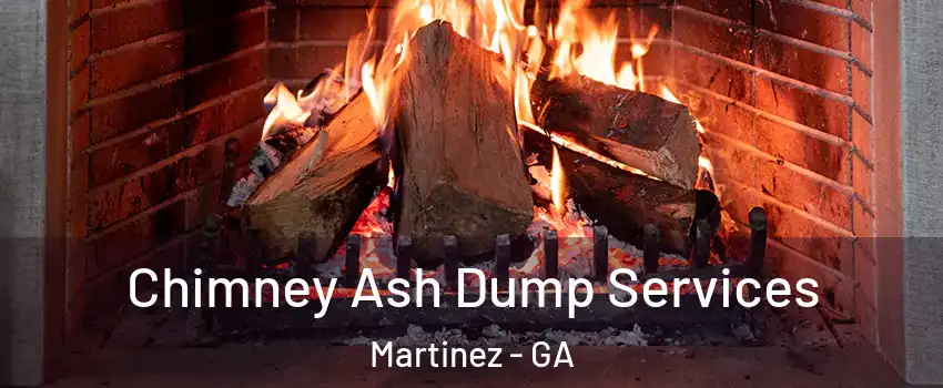  Chimney Ash Dump Services Martinez - GA