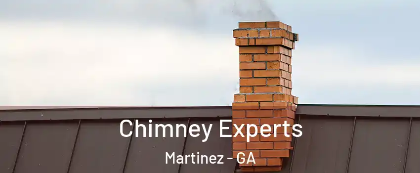 Chimney Experts Martinez - GA