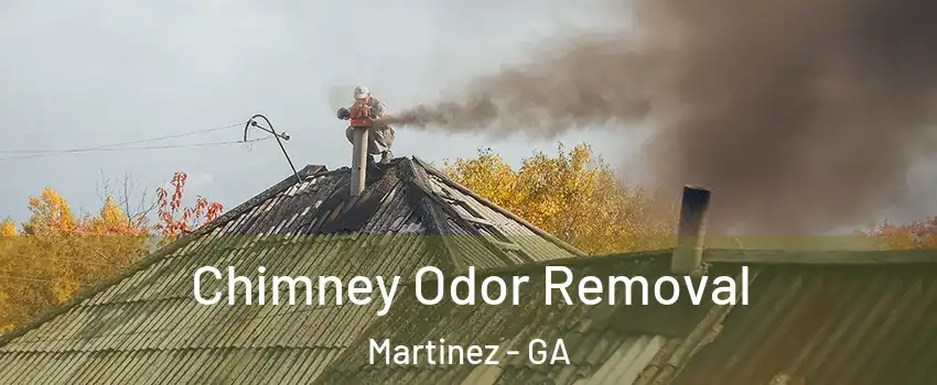  Chimney Odor Removal Martinez - GA