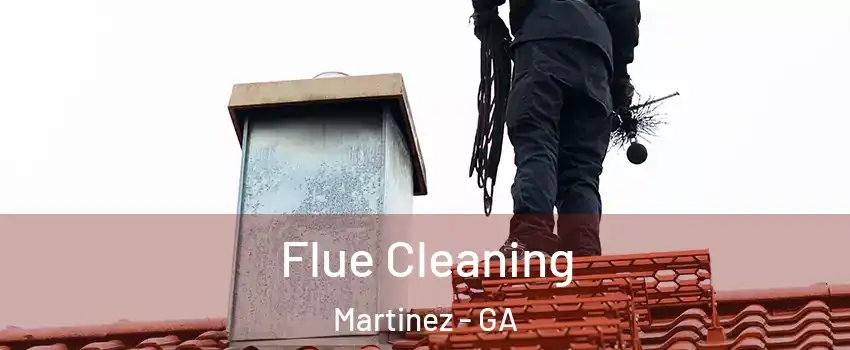  Flue Cleaning Martinez - GA