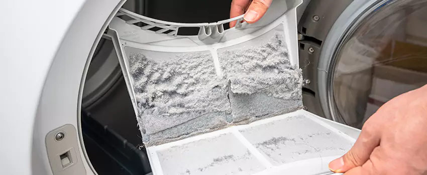 Best Dryer Lint Removal Company in Martinez, Georgia