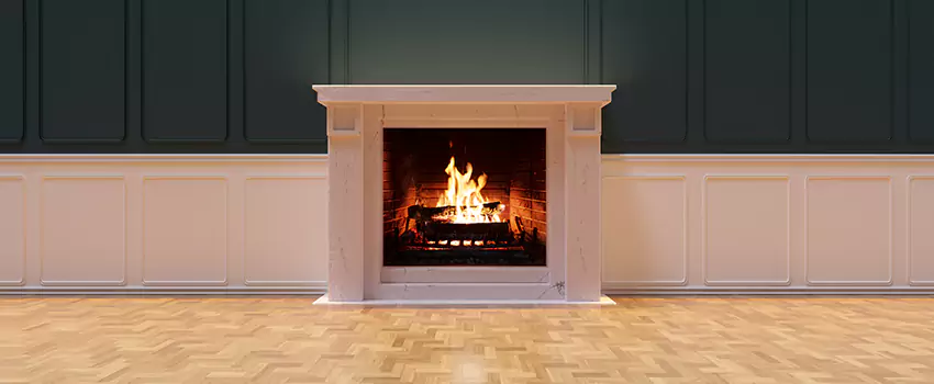 Napoleon Electric Fireplaces Inspection Service in Martinez, Georgia