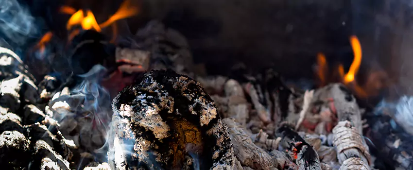 Creosote Removal Experts in Martinez, GA