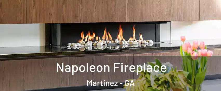  Napoleon Fireplace Martinez - GA